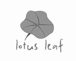 lotus leaf