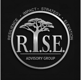 r.i.s.e. advisory group resilience impact strategy elevation
