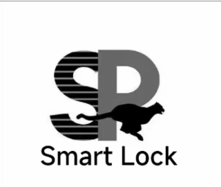smart lock