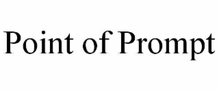 point of prompt