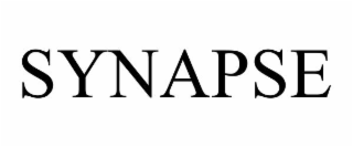 synapse