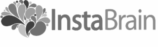 instabrain