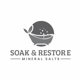 soak & restore mineral salts