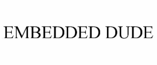 embedded dude