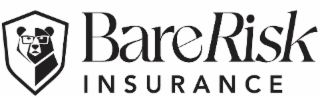 bare risk insurance