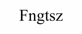 fngtsz