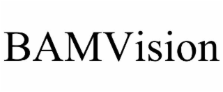 bamvision