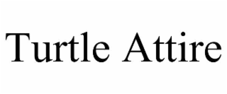 turtle attire