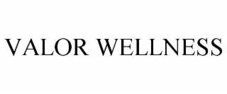 valor wellness