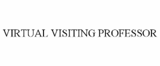 virtual visiting professor