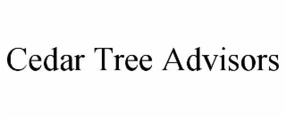 cedar tree advisors