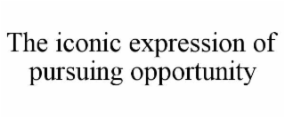 the iconic expression of pursuing opportunity