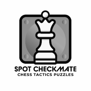 spot checkmate