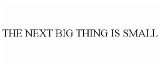 the next big thing is small