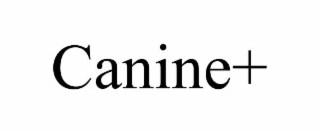 canine+