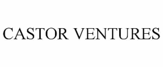 castor ventures