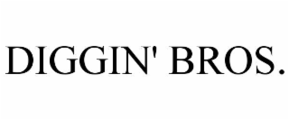 diggin' bros.