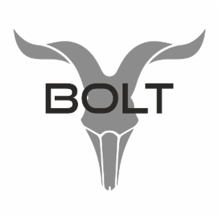 bolt