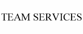 team services