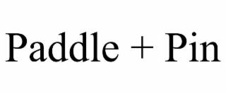 paddle + pin