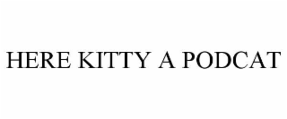 here kitty a podcat