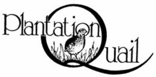 plantation quail