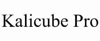kalicube pro