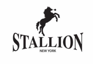 stallion new york