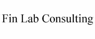 fin lab consulting
