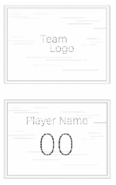team logo player name 00