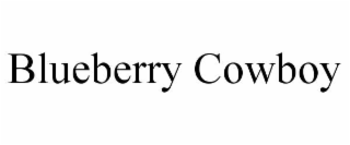 blueberry cowboy