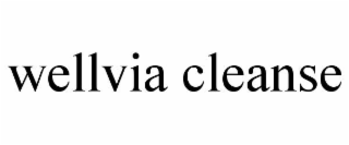wellvia cleanse