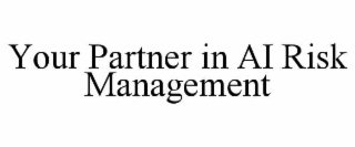your partner in ai risk management