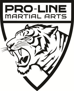 pro-line martial arts