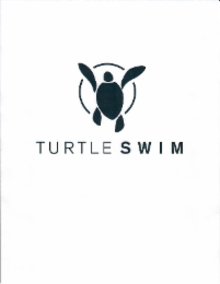turtle swim