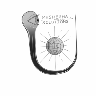 meshesha solutions