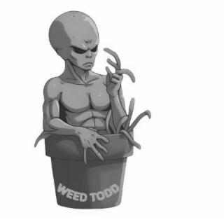weed todd