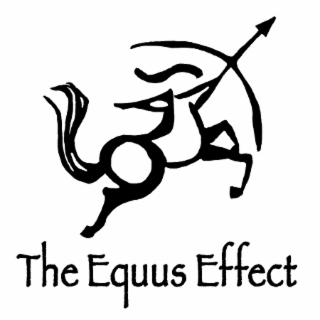 the equus effect