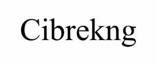 cibrekng