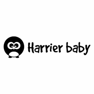 harrier baby