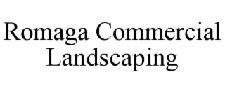 romaga commercial landscaping