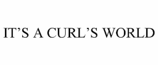 it’s a curl’s world