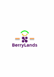 brand name : berrylands : purple color the upper de,signs in the middle which is likely of a dumbbell image and two circles are purple color. the horizontal lines next are grey on the bottom and orange on the top both sides. on the top one half moon likel