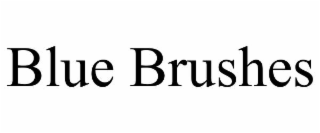 blue brushes