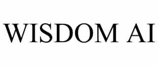 wisdom ai