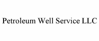 petroleum well service llc