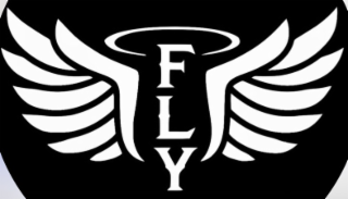 fly
