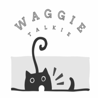 waggie talkie