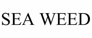 sea weed
