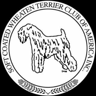 soft coated wheaten terrier club of america inc
